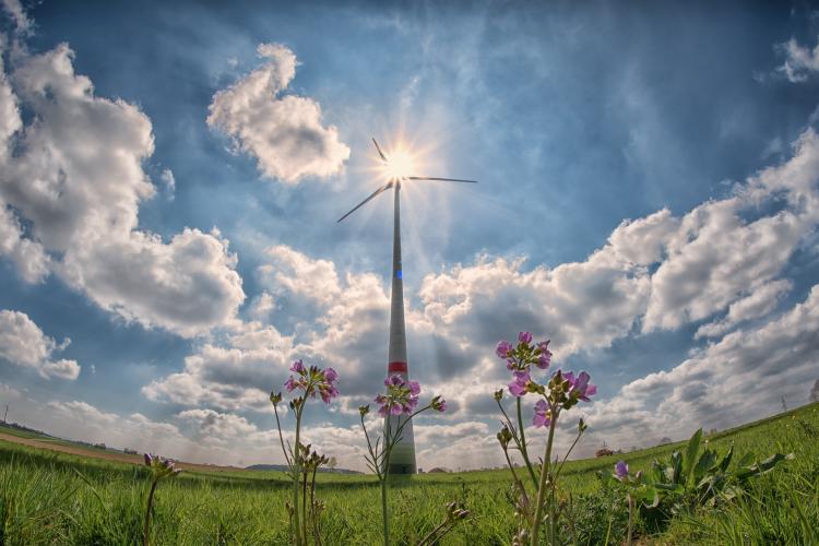 Pixabay: windmill-2222471_1920